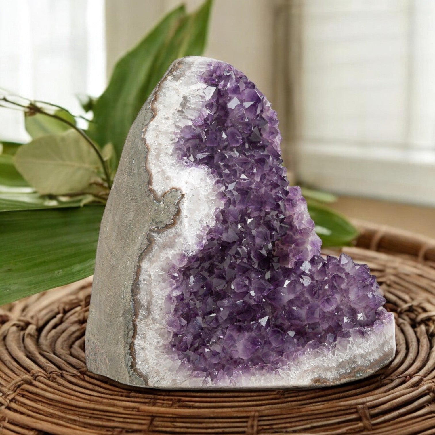 Large amethyst crystal cluster from Uruguay with rich purple points and natural banding, perfect for shelves, home office decor, or spiritual spaces.