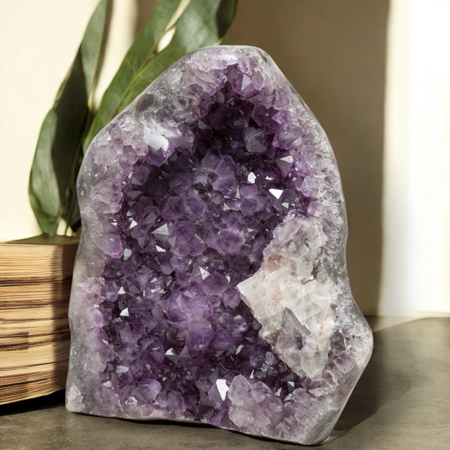 Uruguayan amethyst geode featuring rich violet crystals and a striking white quartz structure along the edge