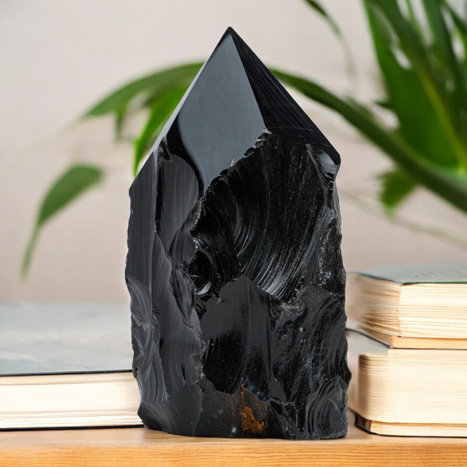 Black Obsidian Pointer - 22.43 lb