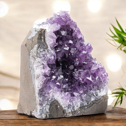 AAA quality amethyst cluster 4–5 lb from Uruguay, rare crystal find for bookshelves, altars and modern luxury interior styling.