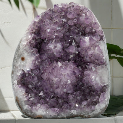 31.47 lbs Unique Collectors Quality Amethyst Geode - Large Natural Deep Purple Crystal Cluster Stone from Uruguay