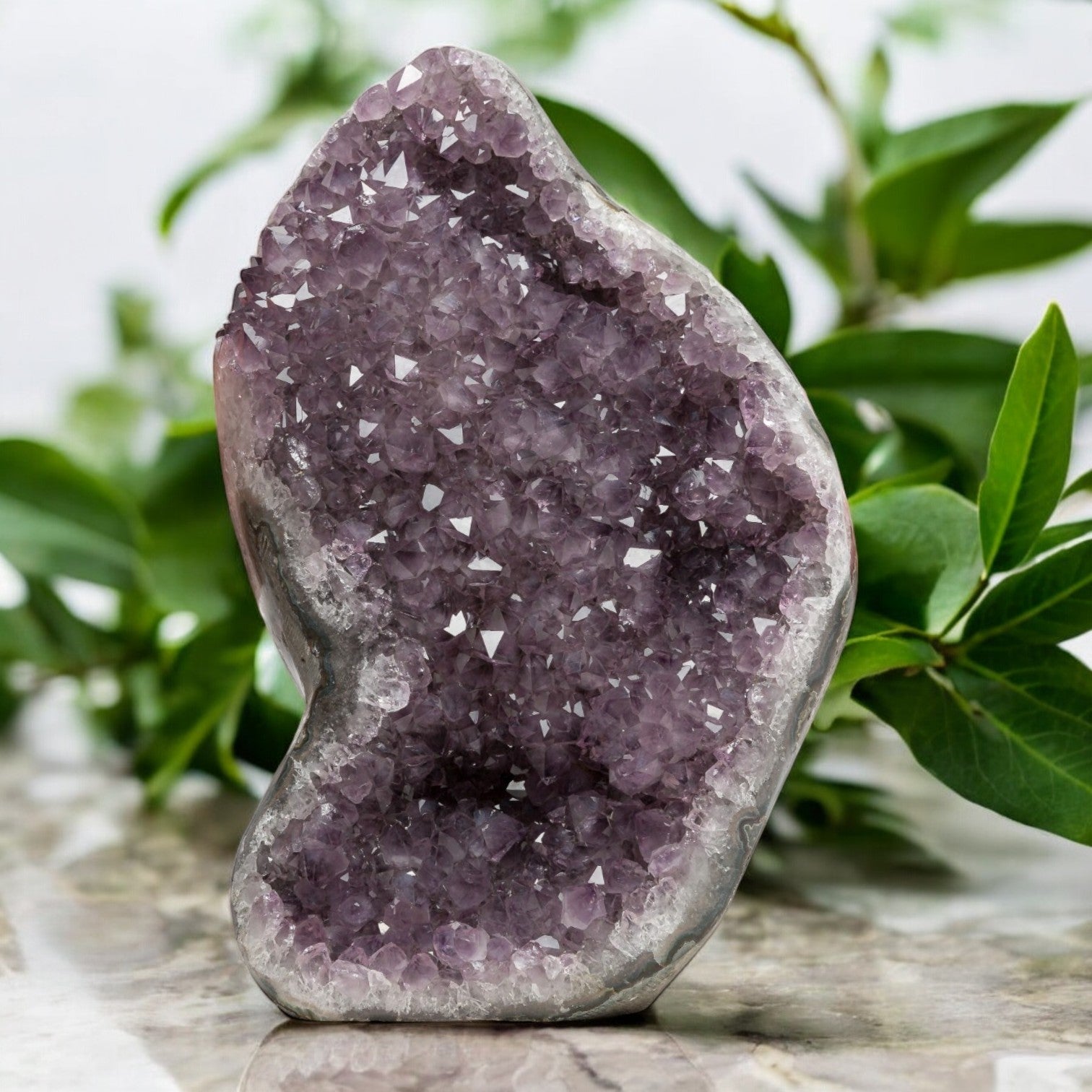 Amethyst Geode - 21.8 lb