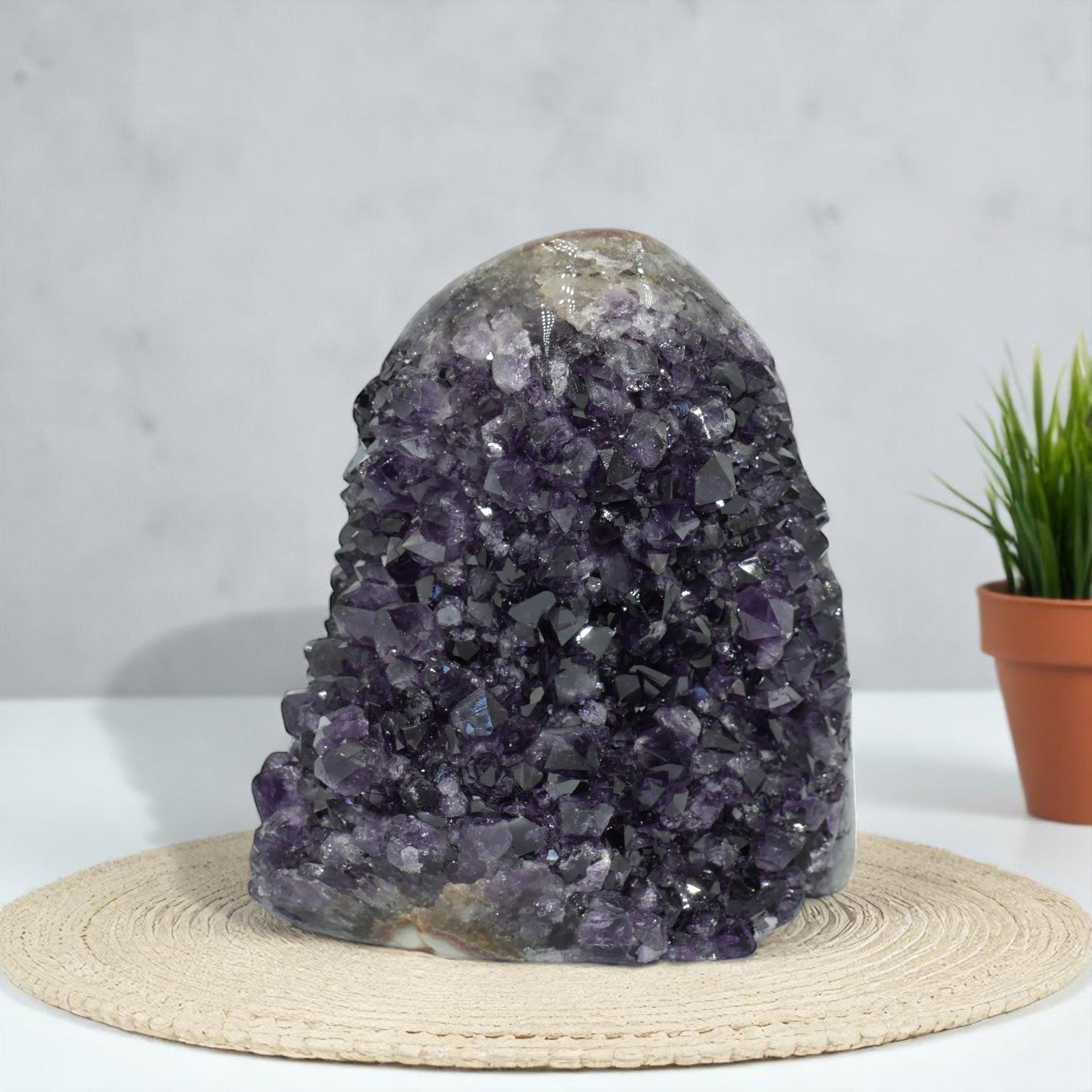 Deep violet amethyst geode from Uruguay featuring tightly clustered points and a softly contoured stone top.