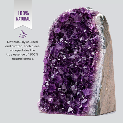 Uruguayan amethyst cut-base geode, rare crystal find with stable base for bookshelves, altars, and refined interior styling.
