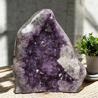 Deep-purple amethyst geode with clustered crystal points and a large white quartz section, ideal for refined home decor.