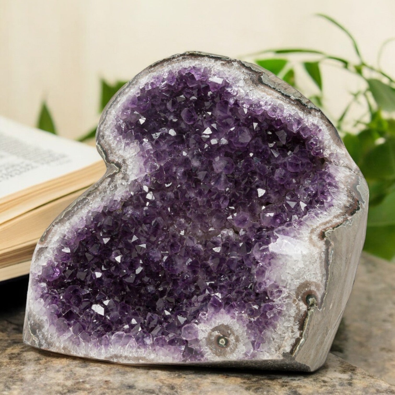 Deep purple Uruguayan amethyst geode with a natural cat-eye formation and sparkling crystal points, a striking piece for refined home decor.