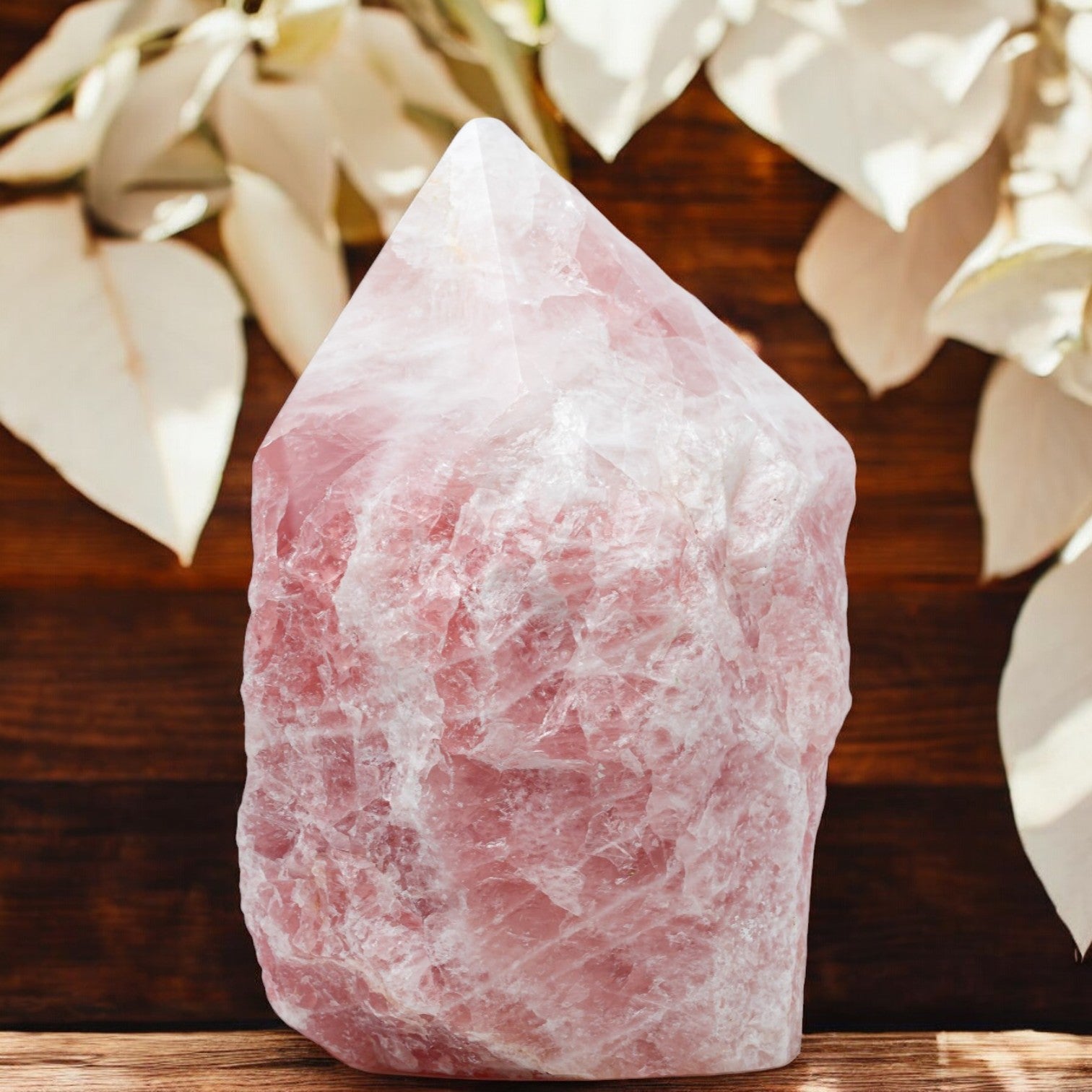 Luxury Extra Large Rose Quartz Crystal Point – 20.64 lb, 10" High, 5" Length, 4" Width – Stunning Natural Gemstone for Unique Home Decor & Memorable Gifting (Copy)