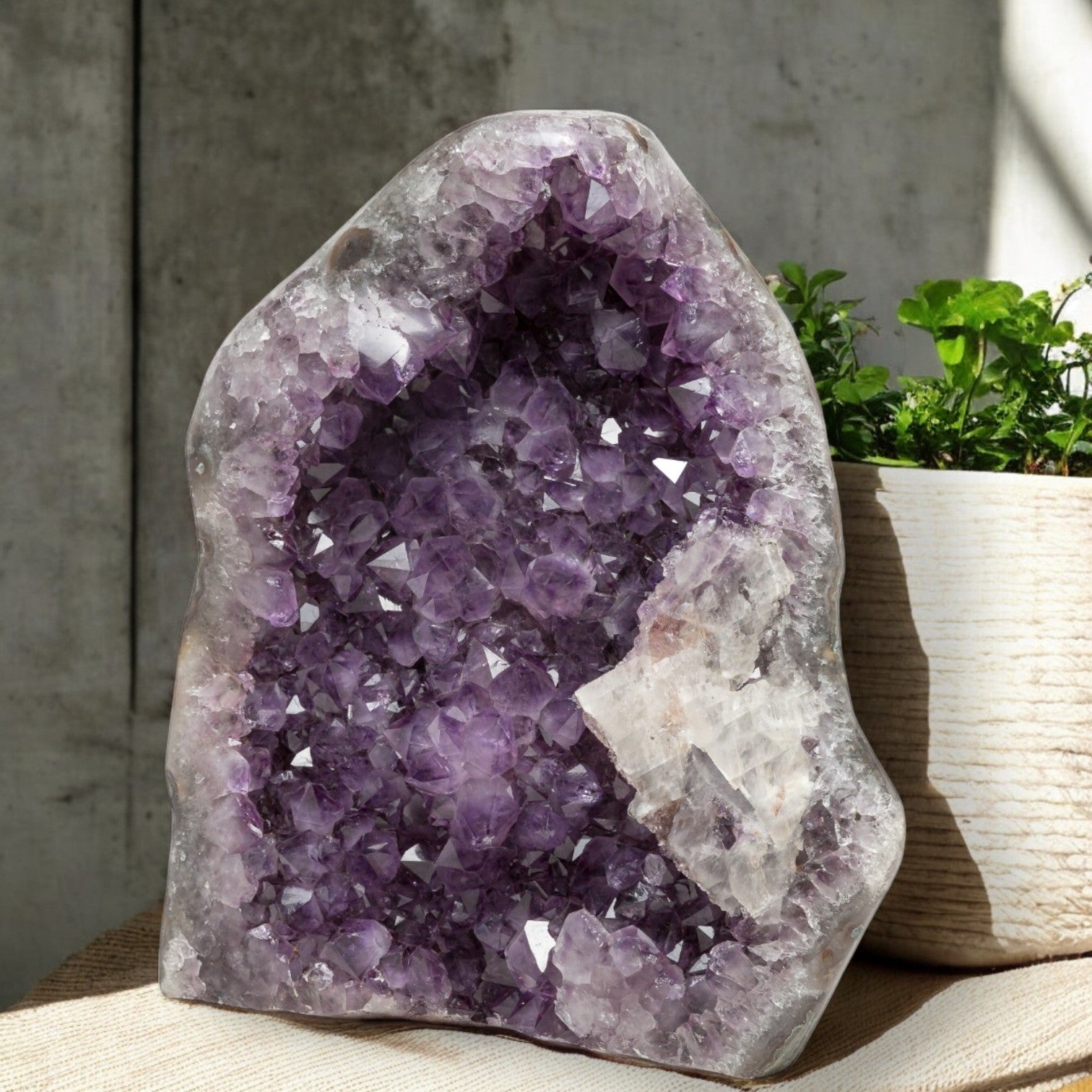 Deep-purple amethyst geode with clustered crystal points and a large white quartz section, ideal for refined home decor.